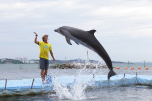 090815_日間賀島_190