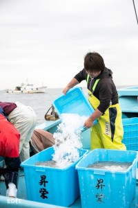 氷を投入