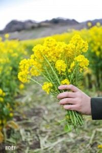 花束をつくってみよう