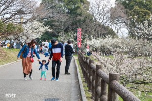 敷地が広いので お散歩にもピッタリ