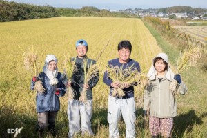 常滑市でヒヨクモチを育てている 農家の中野さんたち