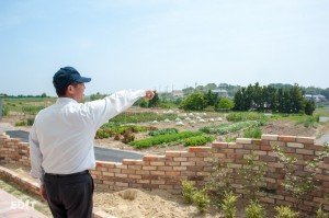 ココテラスの周辺でも、 地域の農家との連携を感じることができます