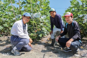 常滑いちじく部会の皆さん 農家の方々ともしっかり連携しています