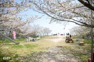 椅子や机があるだけのシンプルな公園