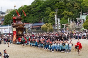 海岸へ進む姿を 固唾をのんで見守る