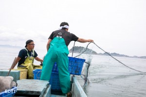 漁、開始。網を投入